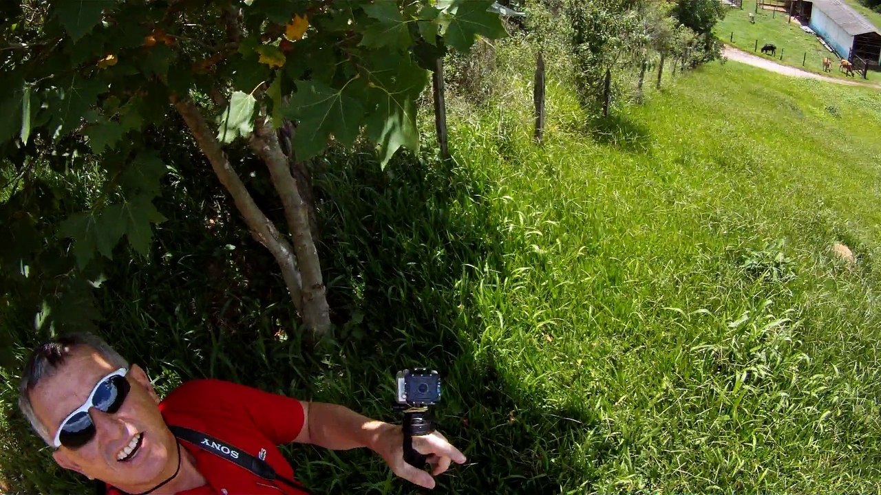 Aventura, Birdwatching, Serra da Mantiqueira, Hiking, Trilhas Rurais, rumo a Pedra do Báu, Sentido Leste, Marcelo Ambrogi, Santo Antonio do Pinhal, SP, Brasil, (22)