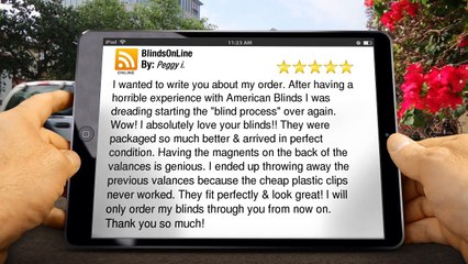 BlindsOnLine.com        Excellent         5 Star Review by Peggy i.