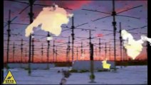 High Frequency Active Auroral Research Program (HAARP)