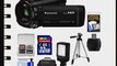 Panasonic HC-V750K HD Wi-Fi Video Camera Camcorder with 32GB Card   Case   LED Light   Tripod