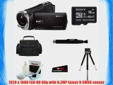 Sony HDR-CX330 Full HD Handycam Camcorder (Black)   Sony 16GB Memory Card   Focus Soft Photo