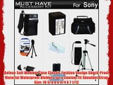 Must Have Accessory Kit For Sony HDR-PJ260V HDR-PJ200 HDR-PJ670 HDRPJ670/B FDR-AX33 FDRAX33/B