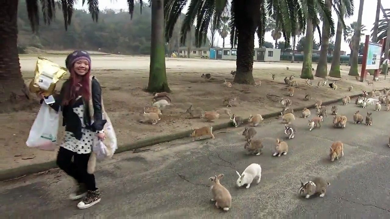 10698841_773714906025654_1349434447_n