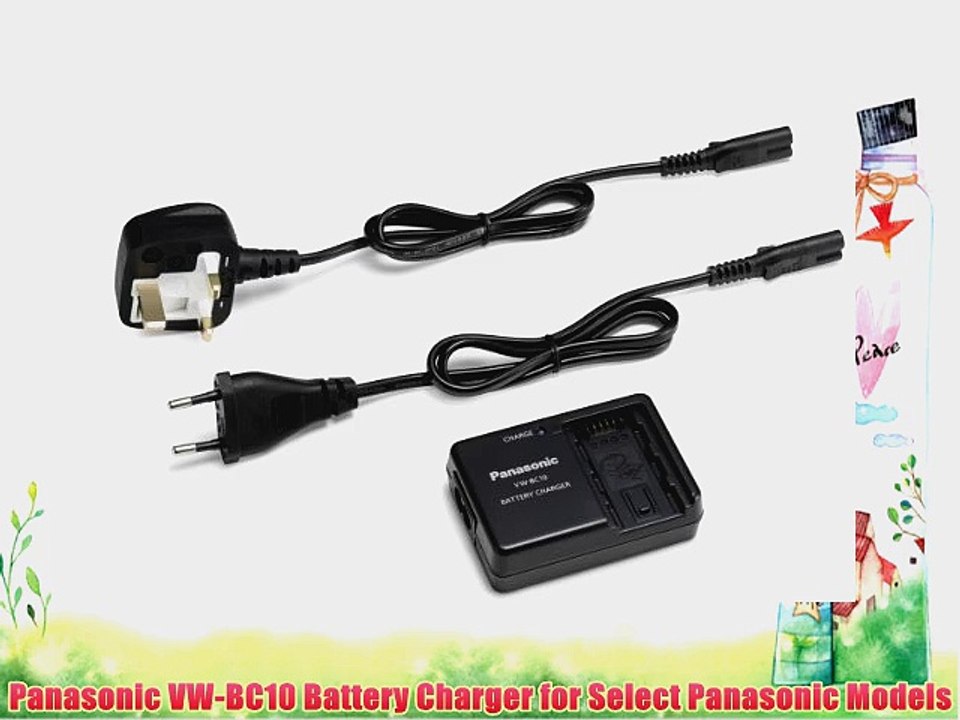 Panasonic VW-BC10 Battery Charger for Select Panasonic Models
