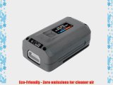 Snow Joe iBAT40 4 Amp Eco Sharp Lithium-Ion Battery 40-volt