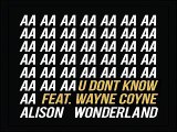 [ DOWNLOAD MP3 ] Alison Wonderland - U Don't Know (feat. Wayne Coyne) [ iTunesRip ]