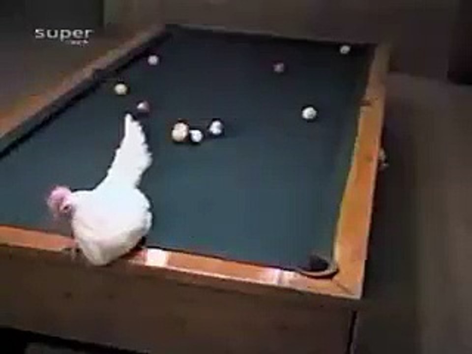 amazing snooker shot