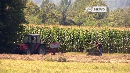 IMU AGRICOLA, I SOLDI TORNANO AI COMUNI