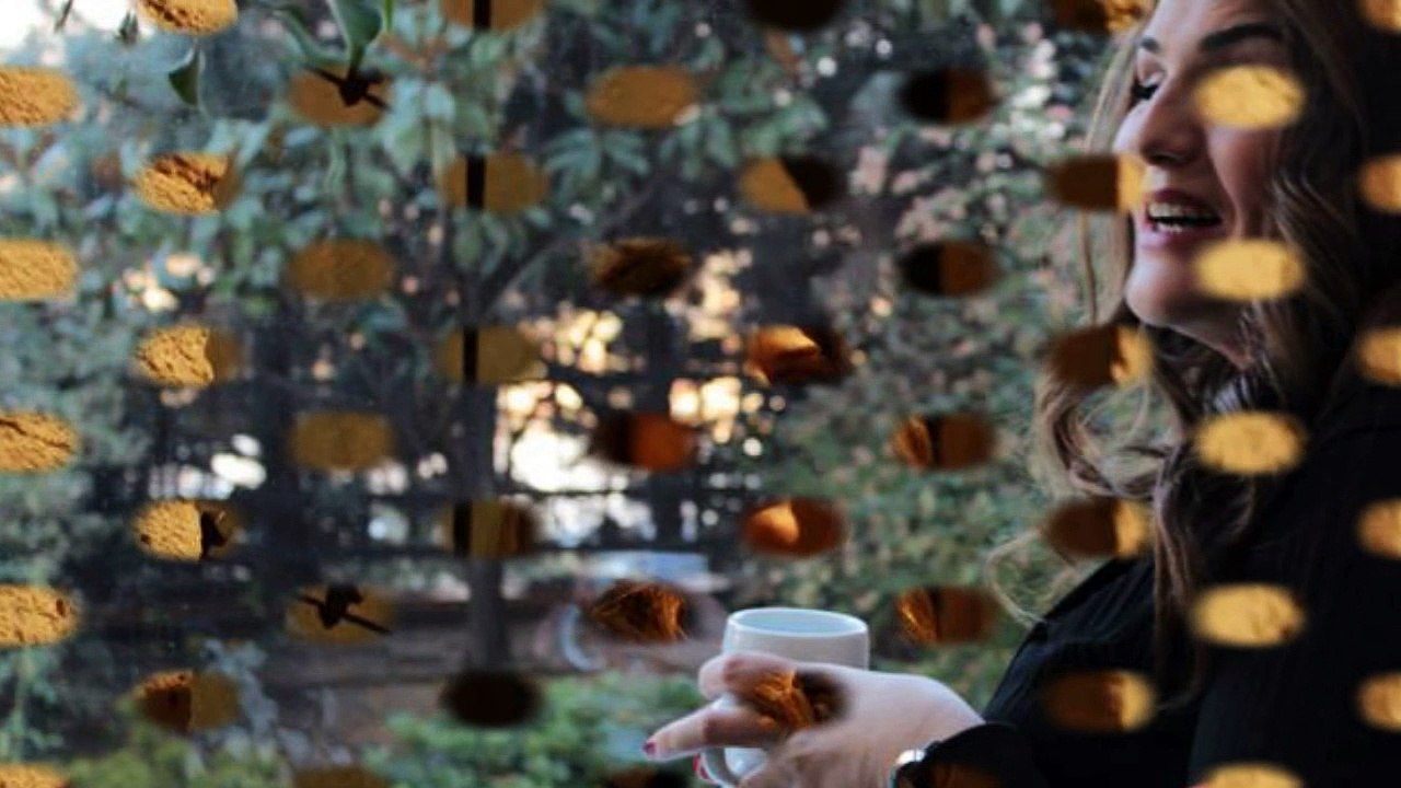 Havalanma Gönül (Yeni Albüm 2014) Nilüfer SARITAŞ