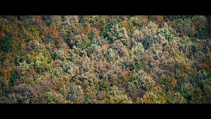 The Duke of Burgundy (2014 Trailer)