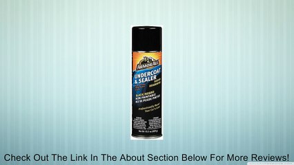 Armor All 75406 Undercoat and Sealer Review
