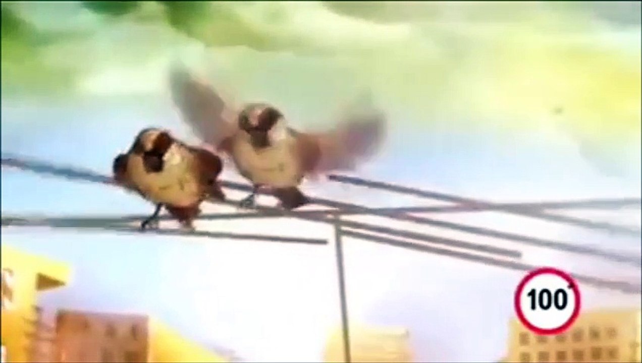 World's Best 100 sec video