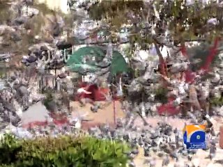 Karachi Pleasant Weather-25 Jan 2015