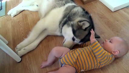 Cute Child &  Dog Playing Dangerously - Rare Video