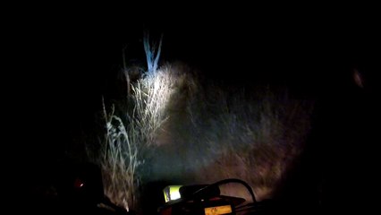 this is what my new LED light bar looks like while riding off road at night