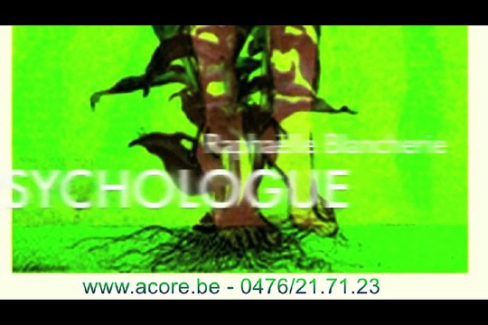 Conseil en herboristerie Bruxelles