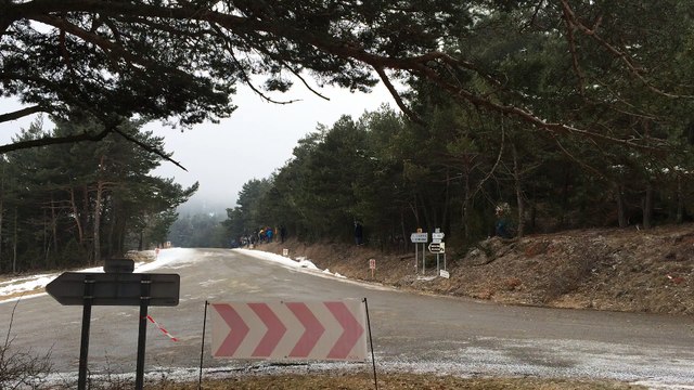sebastien loeb elena ss8 MONTE CARLO 2015