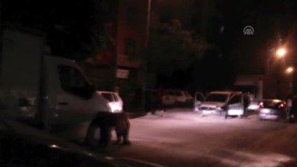 Sirkten Kaçan Ayı Paniğe Neden Oldu