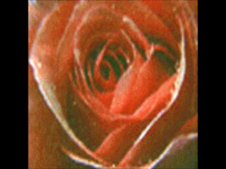 زايد الصالح البنات 2015