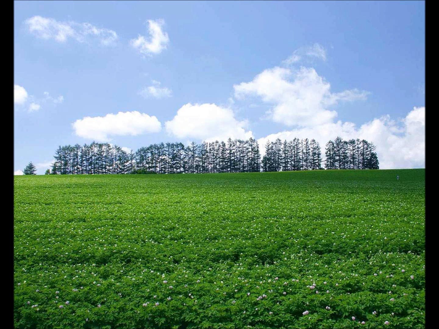 ⁣ياسر عبدالخالق - احبه كلش