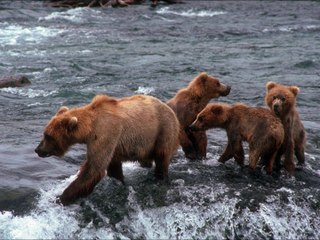 دلال الصغيرة - احبه كلش