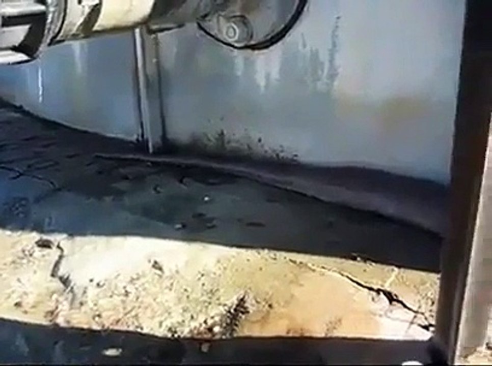 Must Watch Very Amzing  very Huge & Big Snake