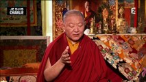 Sagesses Bouddhistes - 2015.01.11 - Rencontre avec Ringou Tulku Rimpoché