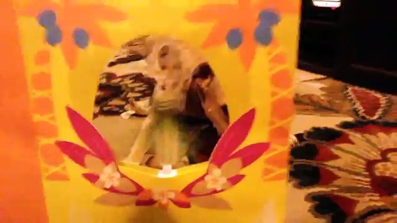 Dog hates Birthday Card
