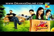 Mr Shamim Episode 5 on Hum Tv in High Quality 25th January 2015