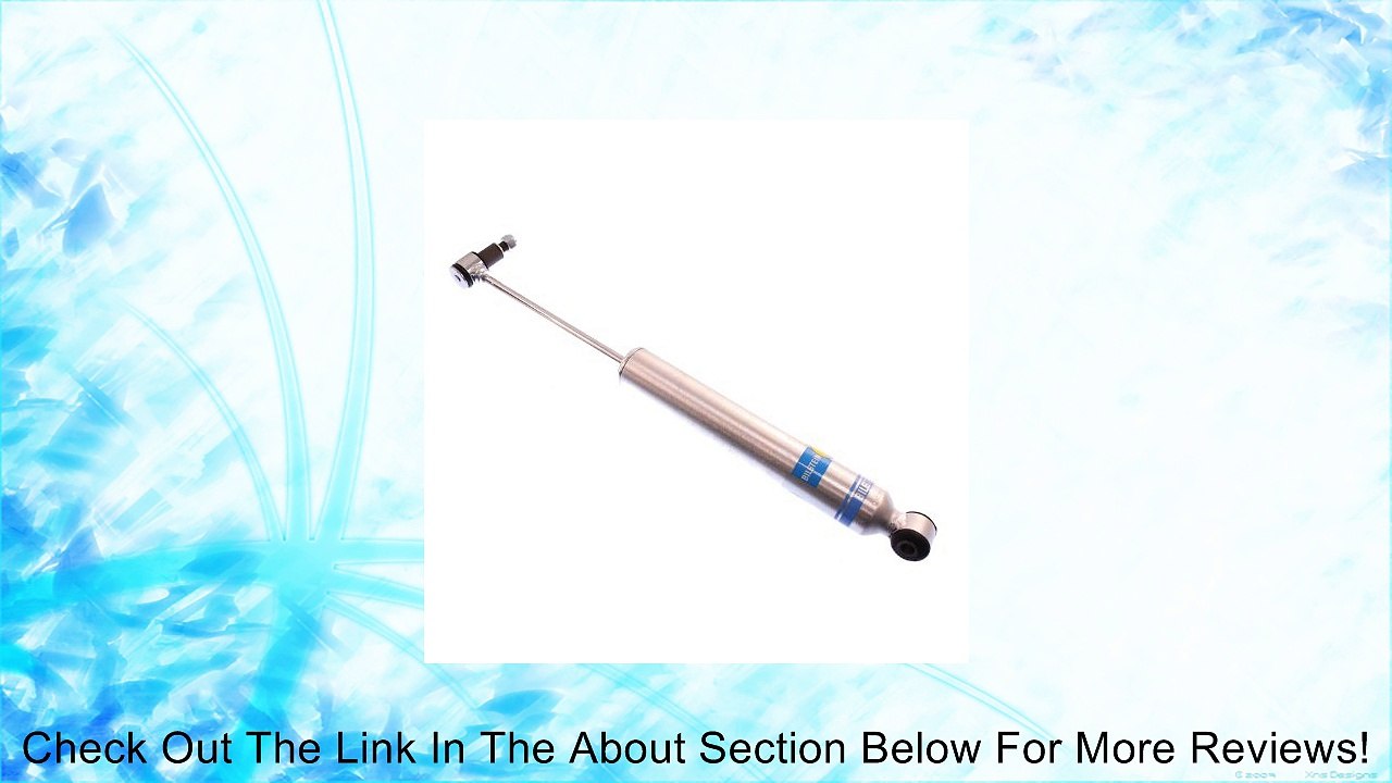 Bilstein 24-158848 Steering Damper for Ford F250/F350 4WD Review