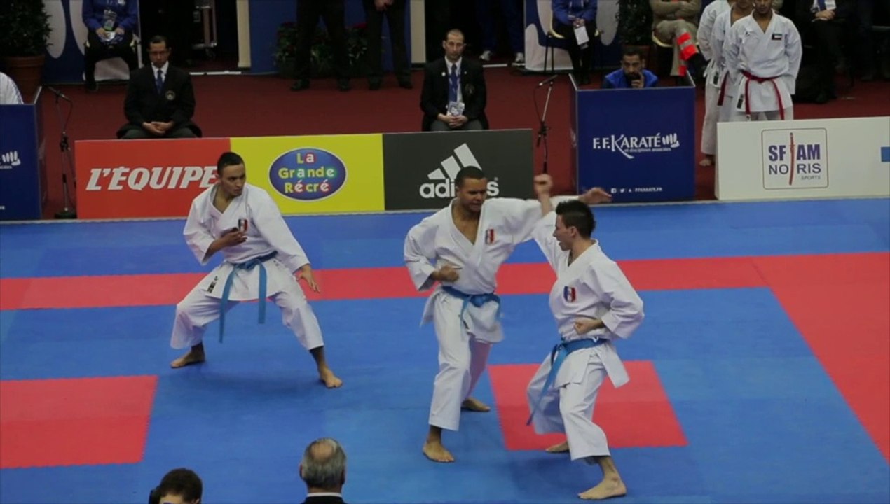 Bunkai Equipe France Kata