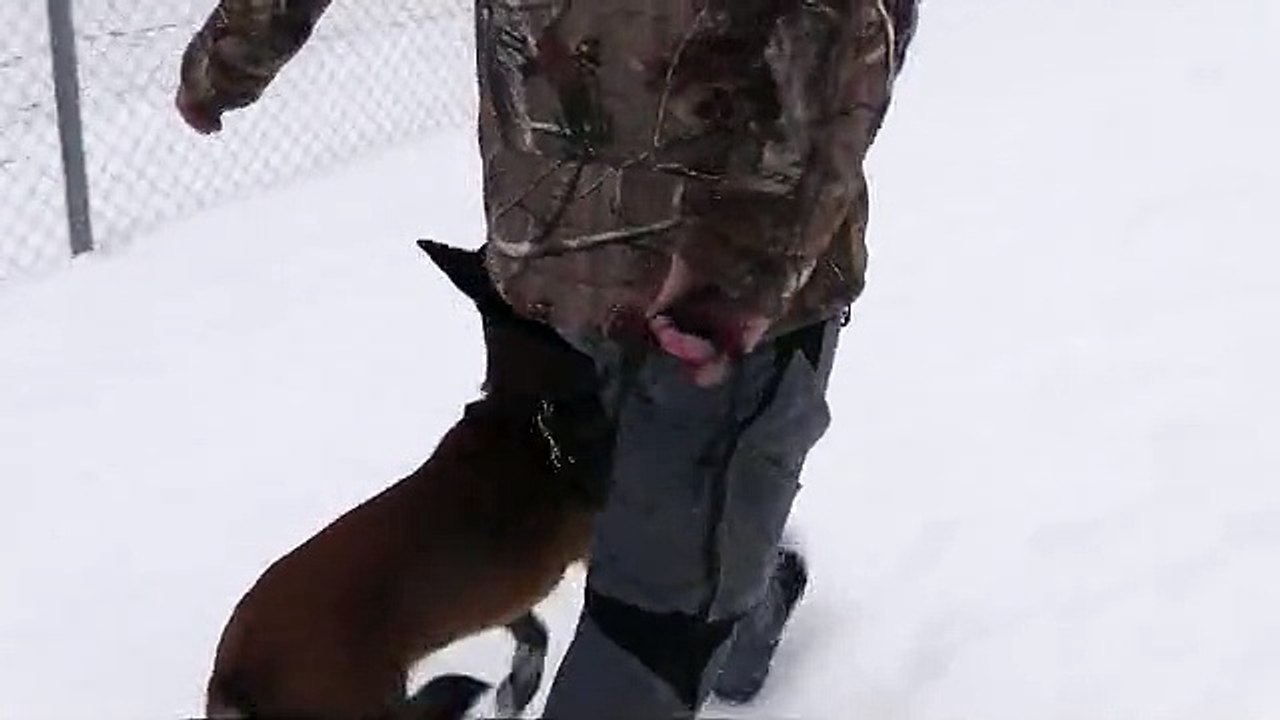 Training-Jan-2015-maybe