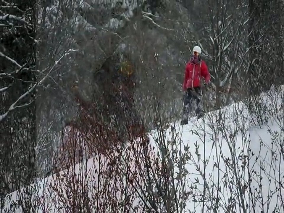 powsurf jan 2015 styria