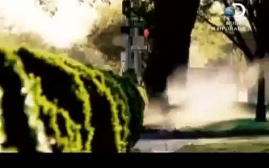 Voces Sepultadas - Lucille Gallegosnew