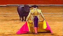 Ole Torero - Corrida en la Plaza - Tauromaquia