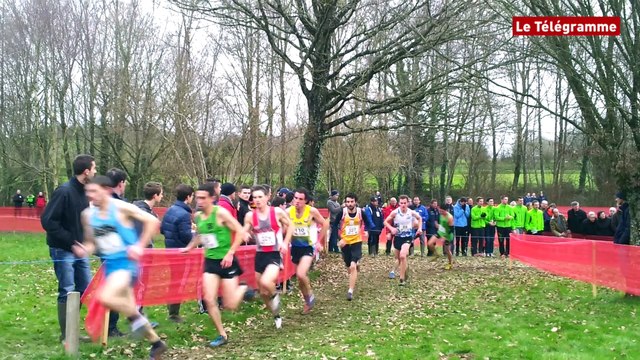 Merdrignac. Championnats de Bretagne de cross : victoire de Benoît Nicolas