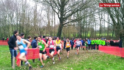 Merdrignac. Championnats de Bretagne de cross : victoire de  Benoît Nicolas