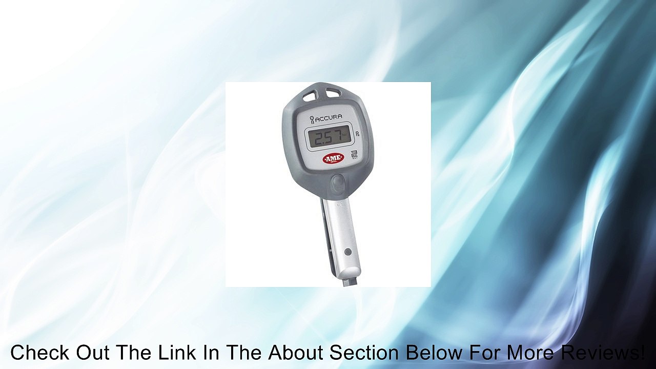 Ame International Digital High-Flow Inflator, Model# 24566 Review