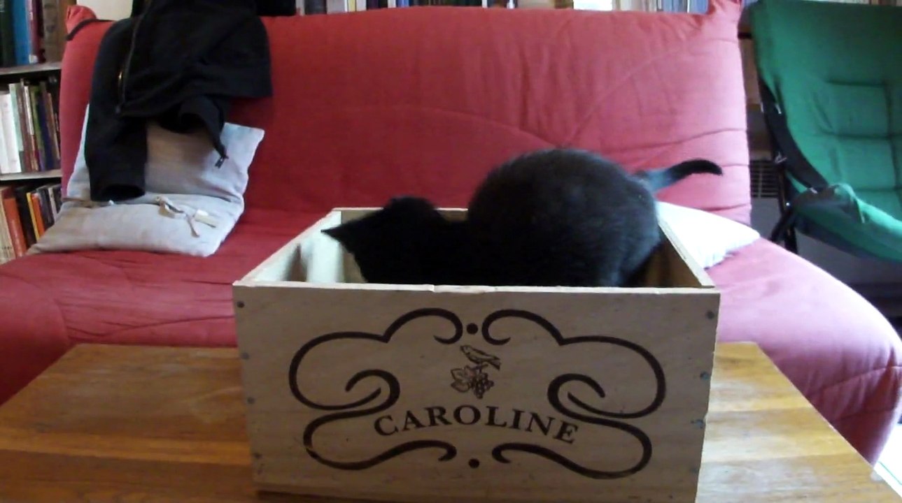 Caroline
