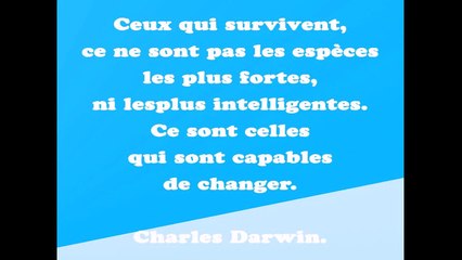 50 citations d'entrepreneurs pour garder la motivation ! (partie 4)