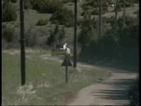 Renault 5 turbo et maxi