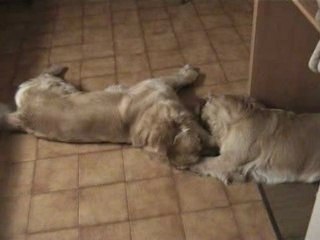Luky et théa mars 2007
