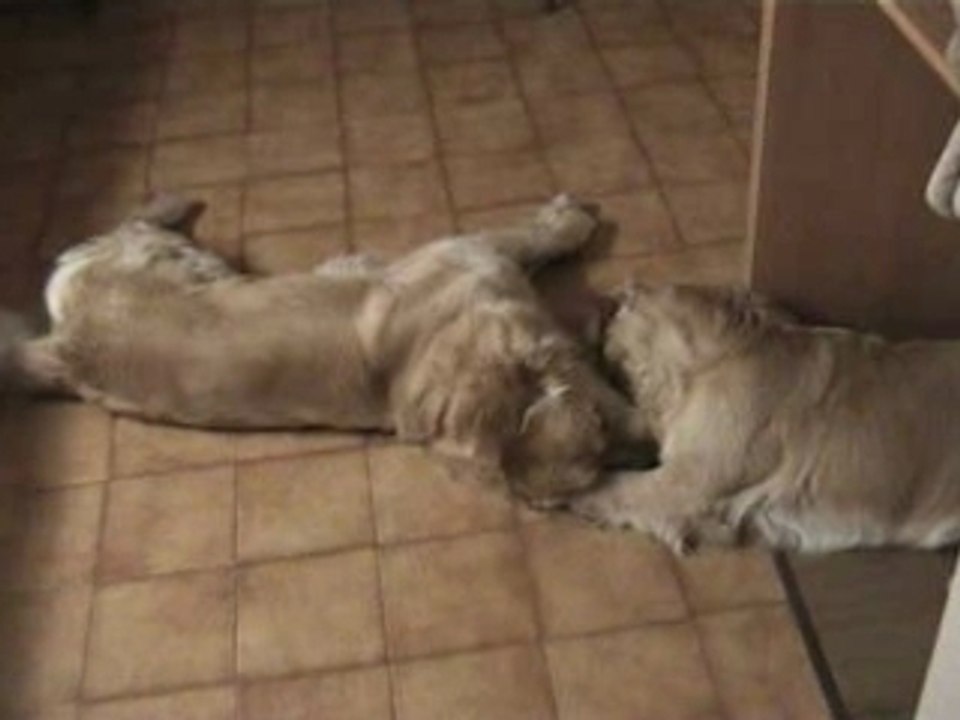 Luky et théa mars 2007