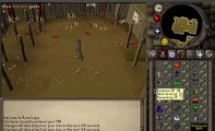 Buy Sell Accounts - runescape 2007 account for sale(1)