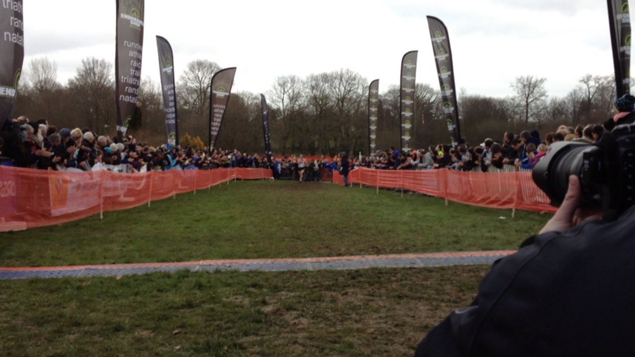 Championnat de Bretagne de cross-country
