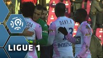 Evian TG FC - Toulouse FC (1-0)  - Résumé - (ETG-TFC) / 2014-15