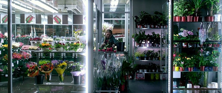 В хорошем качестве HD 720 кино онлайн бесплатно Континуум