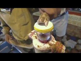 Snake Venom makes what Blood ... so here is the Answer