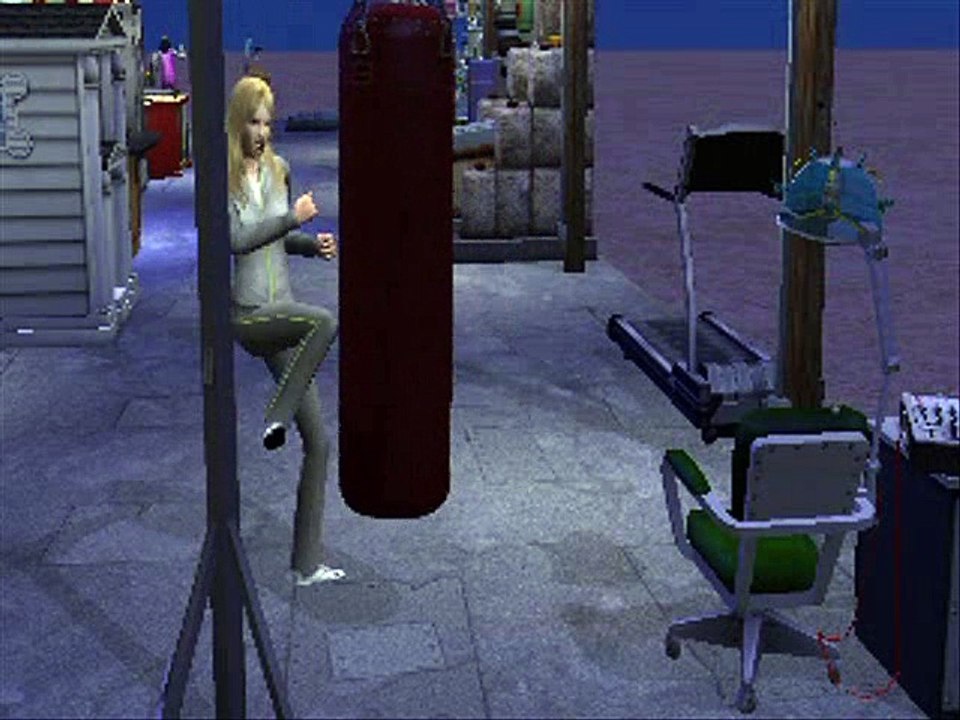 Sims 2 - Madonna - Don't Tell Me_0001
