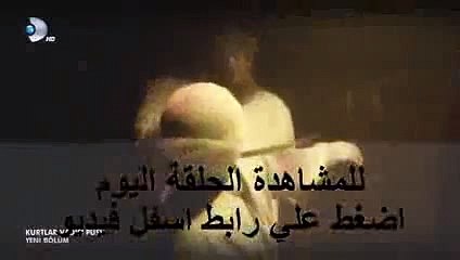مسلسل وادي الذئاب الجزء التاسع - الحلقة 29 كاملة - 30 Wadi diab مراد علمدار